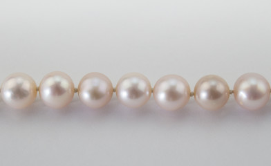 Pink pearl necklace close up on white background