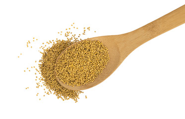 Mustard Seeds in a Wooden Spoon Isolated