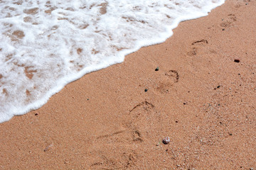 Footprints in the sand near the sea