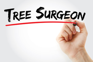Hand writing tree surgeon with marker, concept background