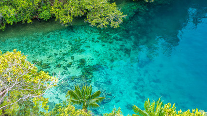 Fototapeta na wymiar Clear Blue Water and Coral in Mangrove near Warikaf Homestay, Kabui Bay, Passage. Gam Island, West Papuan, Raja Ampat, Indonesia