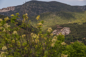 Obraz premium Campiglia is a beautiful medieval town that sits on a hill overlooking the surrounding region of Tuscany
