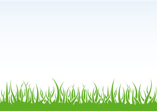 Grass background vector. Green grass vector illustration. Natural background