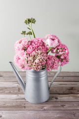 pink persian buttercup flowers. Curly peony ranunculus in Metallic gray vintage watering can, copy space.