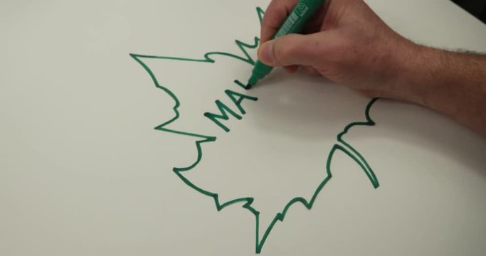 Writing phrase about ecology       