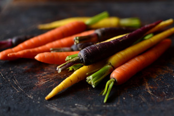 Fresh multicolored carrots on a dark background