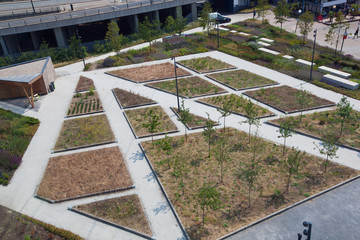 Aerial View of Inner City Urban Park