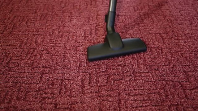 vacuum cleaner cleans the red carpet. Brush close up