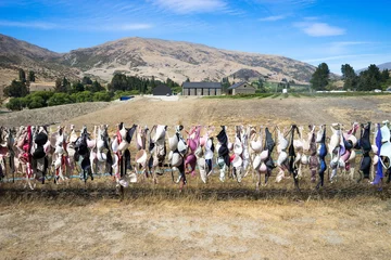 Fototapete Neuseeland landmark bras fence in new zealand