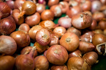 Close-up of onions in grocery store