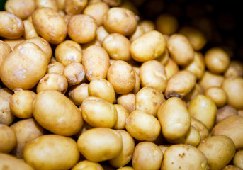 Close-up of potatoes in supermarket