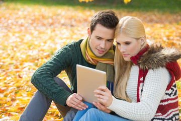 Couple using digital tablet together in park during autumn