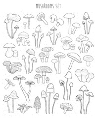Collection of hand drawn different types mushrooms. Sketch vector illustration