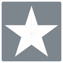 White star shape isolated on gray squre background. Trendy vector decoration symbol for website design, mobile app. Logo illustration.