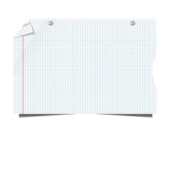 Blank sheet squared copybook paper on pins memo note vector