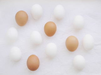 White eggs on a white background.