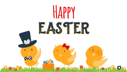 Chicken greeting card. Happy Easter cartoon design with cute chicks and grass isolated on white background.