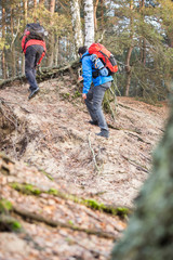 Male backpackers hiking in forest