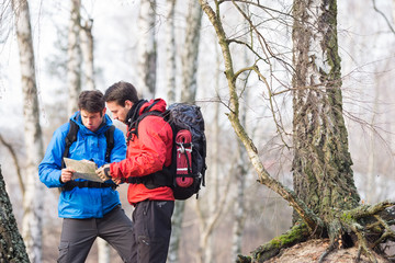 Male backpackers reading map in forest
