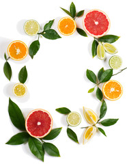 Circle of citrus fruits