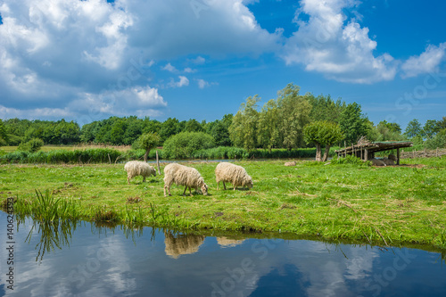 Beste Spielothek in Oldenburg in Holstein finden Beste Spielothek in Oldenburg in Holstein finden