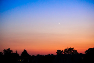 colorful sunset and tree shadows 
