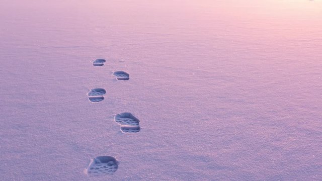 Footprints appearing and fading on untouched snow