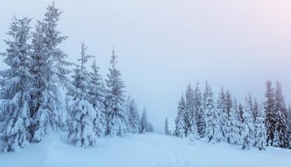 Naklejka premium Mysterious winter landscape majestic mountains in . Magica
