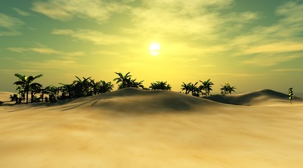 beautiful oasis in the sandy desert, a sunset in the desert

