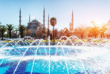 Fototapeta na wymiar Sultan Ahmed Mosque Illuminated Blue , Istanbul, Turkey