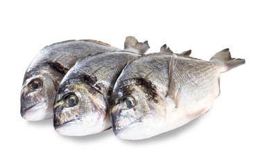 Fresh dorado fish isolated on white background