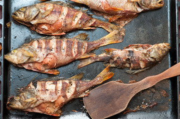 baked fish