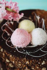 Holiday meal concept. Sweet chocolate cake with peanuts and shredded coconut flakes.