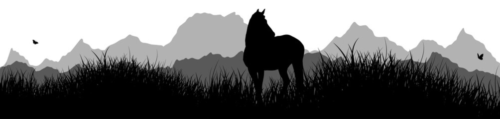 Panorama   Pferd © geschmacksRaum®