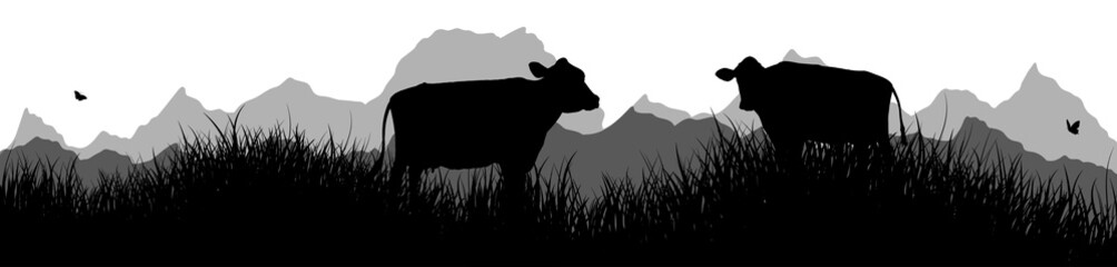 Panorama | K&uuml;he