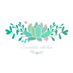 Vector floral border with succulent and pink flowers, botanical composition isolated on white. 