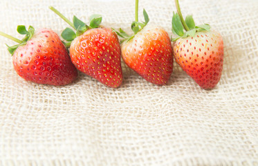 Strawberries with leaves. Isolated on a white background.