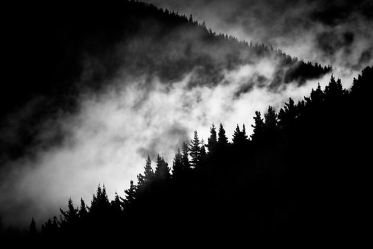 Fototapeta fog in the mountain valley