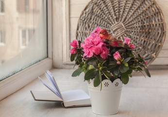 Fototapeta na wymiar Pink azaleas decorative birds and notebook with a blank page