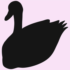 black swan vector silhouette isolated