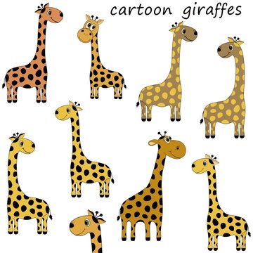 Cartoon giraffes