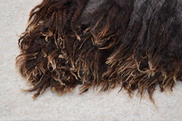 This is a pile of washed brown wool locks from a Romney sheep