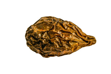 Dried nut on white background