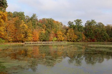 The lake on a sunny autumn day.