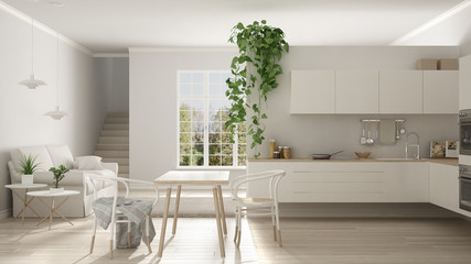 Scandinavian white minimalist living with kitchen, open space, one room apartment, modern interior design