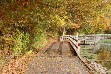 The autumn walkway in the park.
