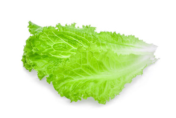 Naklejka na ściany i meble fresh green lettuce salad leaves isolated on white background.
