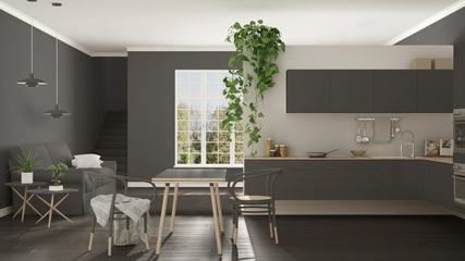 Scandinavian gray minimalist living with kitchen, open space, one room apartment, modern interior design