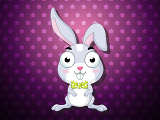 Happy Easter bunny,rabbit isolated on color background