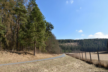 Fototapeta premium The road runs through the forest and meadow.